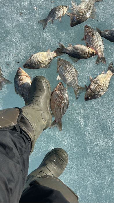 Продам помплект резины 185/60