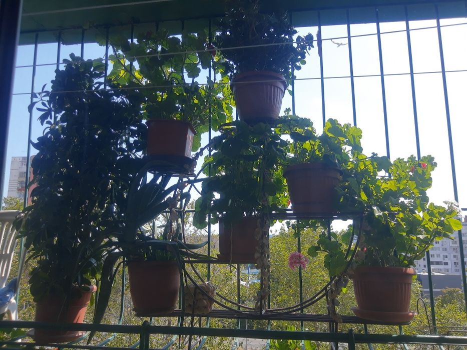 Мебел,Цветарник за дома.НАМАЛЕНИЕ 199лв