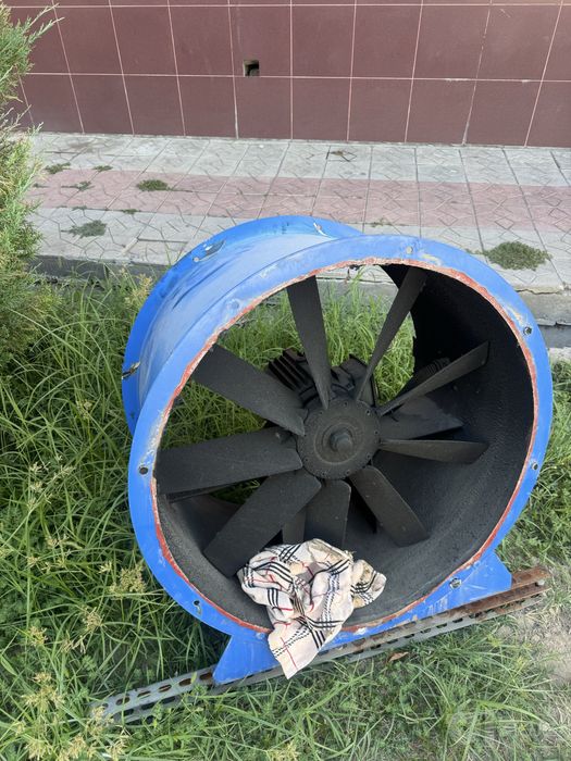 Ulitka hovotortadigan sotiladi 4 ta bor