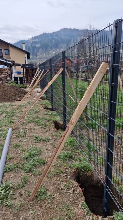 Gard German 2D 868 6/5/6 Satu Mare, panou gard dublu fir 8/6/8 mm