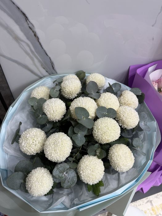 Продам цветы, букеты