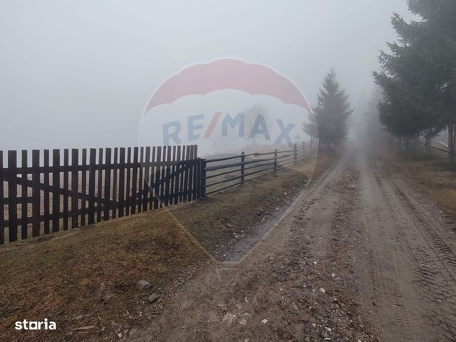 Teren INTRAVILAN 23.238m.p. Dorna-Arini / Cozănești