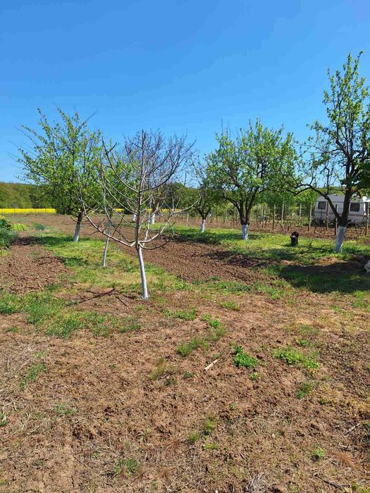 Продава се Парцел в с. Китка, Област Варна - 2000 кв.м за 13 €/кв.м - Снимка #4