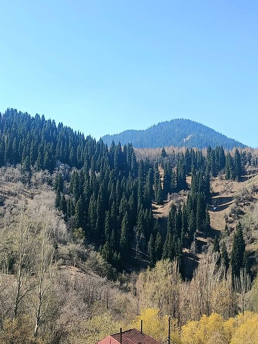 Сдается гостевой дом в горах