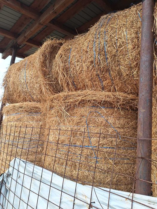 Baloti lucerna rotunzi 120x120si baloti dreptunghiulari