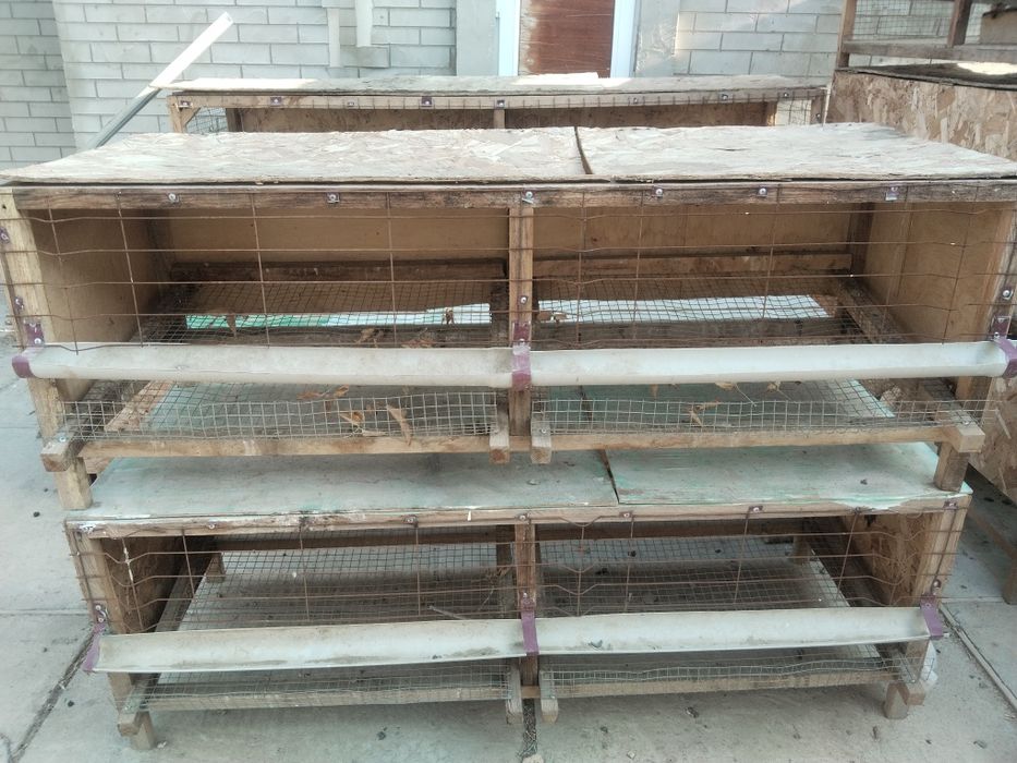 Тауық қора сатылады