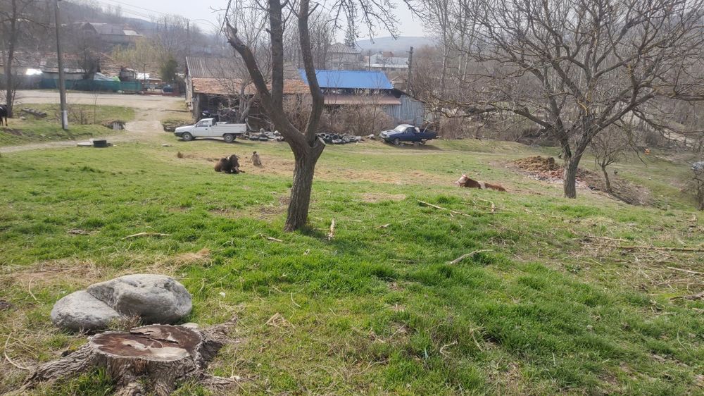 Teren cu casa demolabila, Racovițeni, Buzau