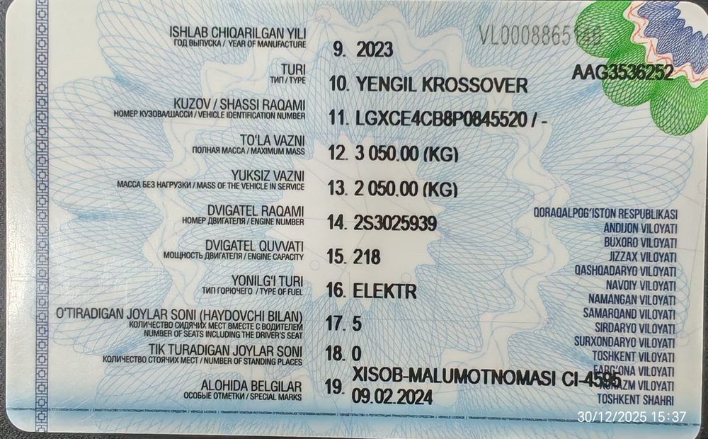 Byd song plus champion 23/24