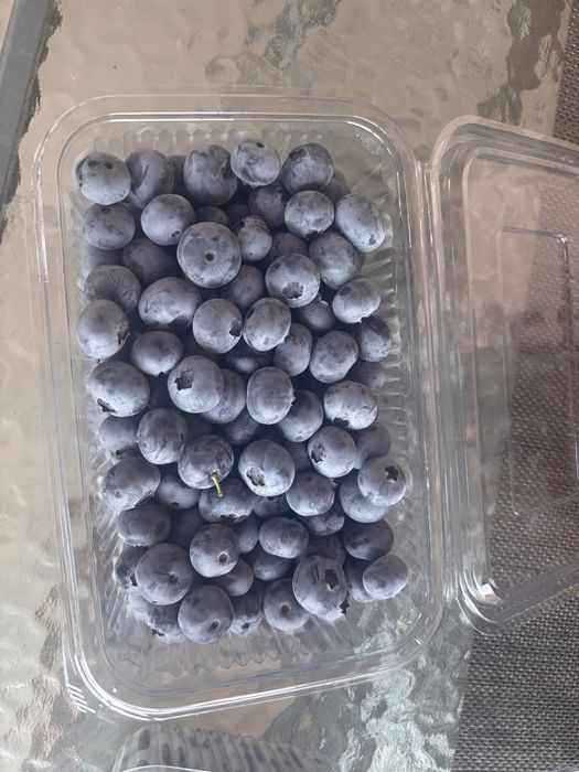 BIO   боровинки.