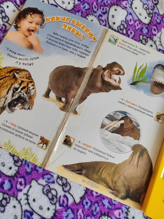 Книга для ребёнка говорящая