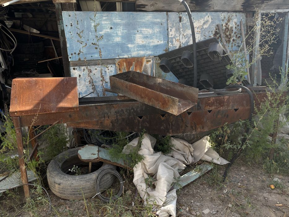 Продам монгал большой