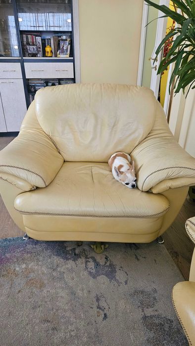 Кожена гарнитура 2+1