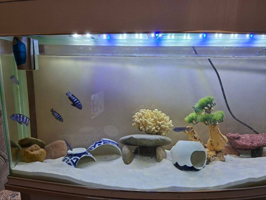 Аквариум сотилади