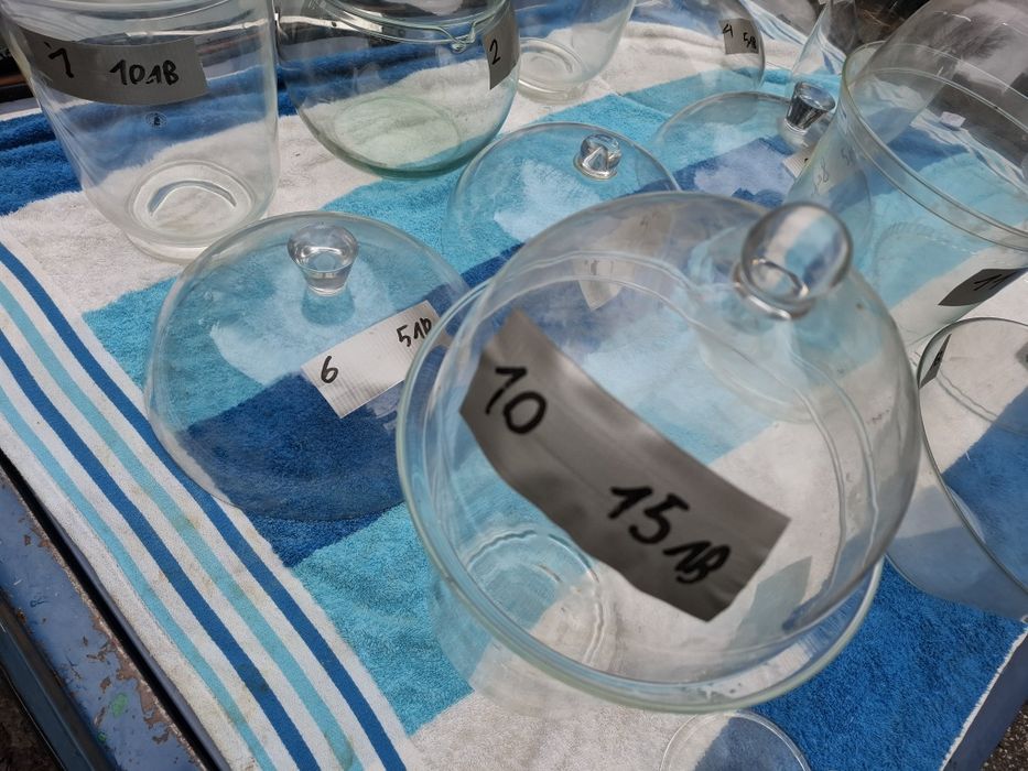 Стъклени съдове и прибори