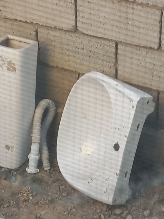 продам тюлпан раковина