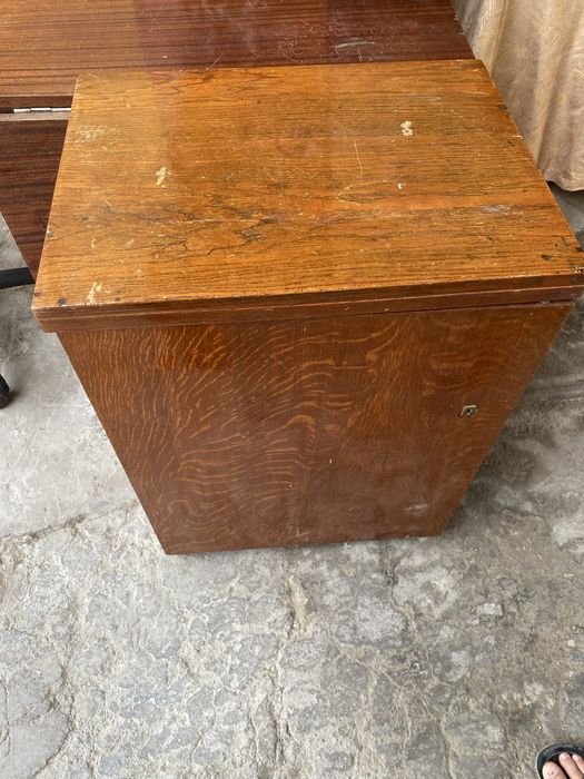 Qizil dildo surati bilan Silviya Saint