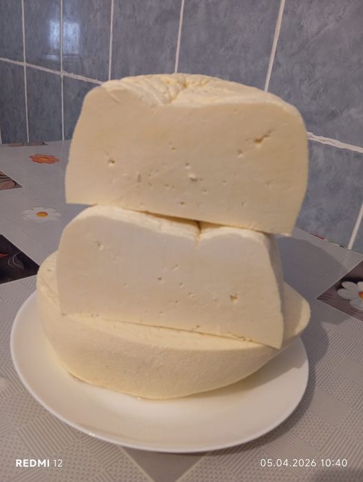 Brânză de vacă ,preț negociabil în funcție de cantitate