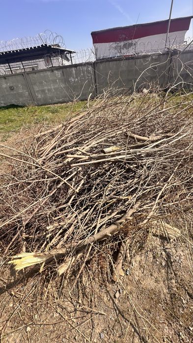 Дрова бесплатно