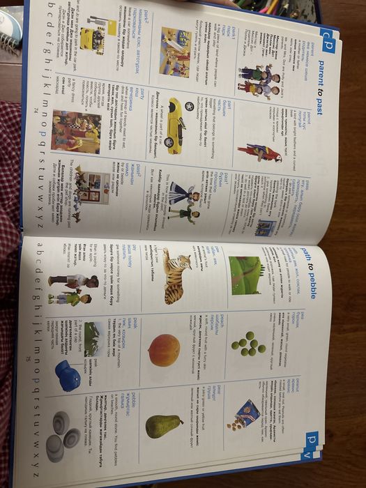 книга the usborne picture dictionary
