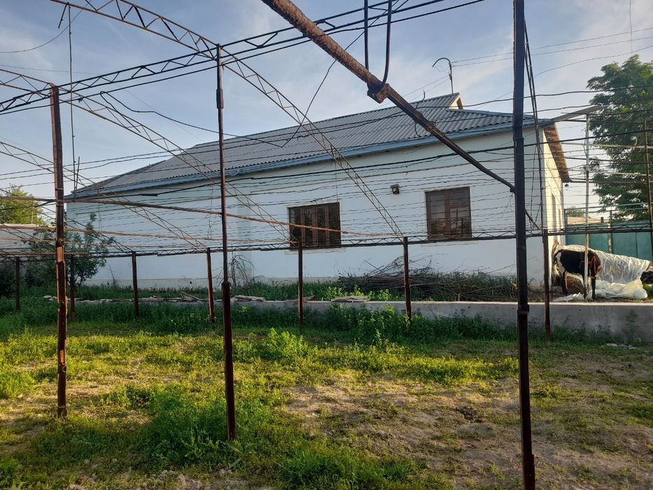 Gaz, svet ,suv va issiq suv mavjud