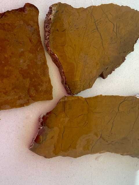 agate GRASSY Mountain Oregon, lemn pietrificat, nuanța portocaliu ars