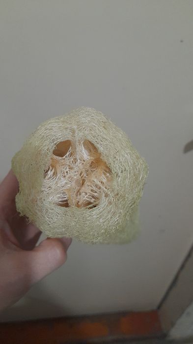 Мочалка... люфа.