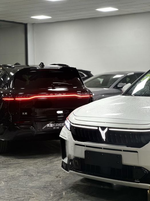 Voyah free apollo tech