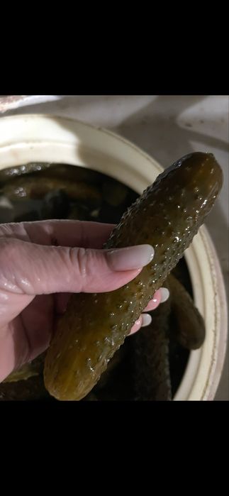 Gogosari si castraveti murati de vanzare