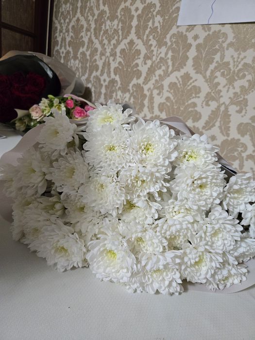 Продам цветы по 5000 тг.