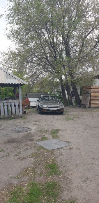 Продам тайота курен