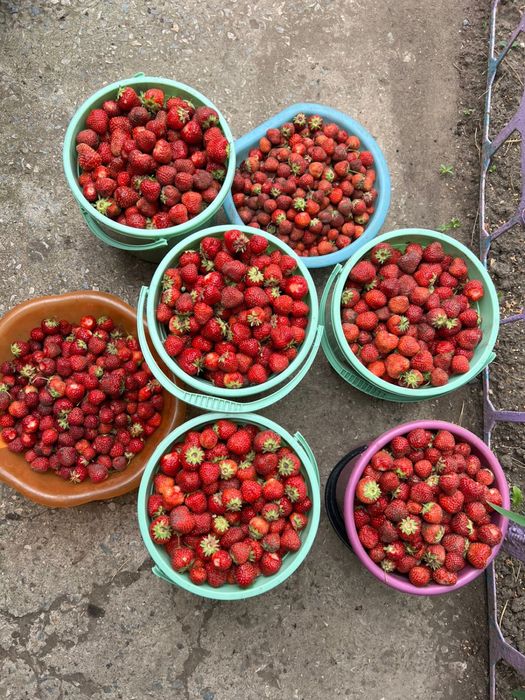 Продам дачный участок