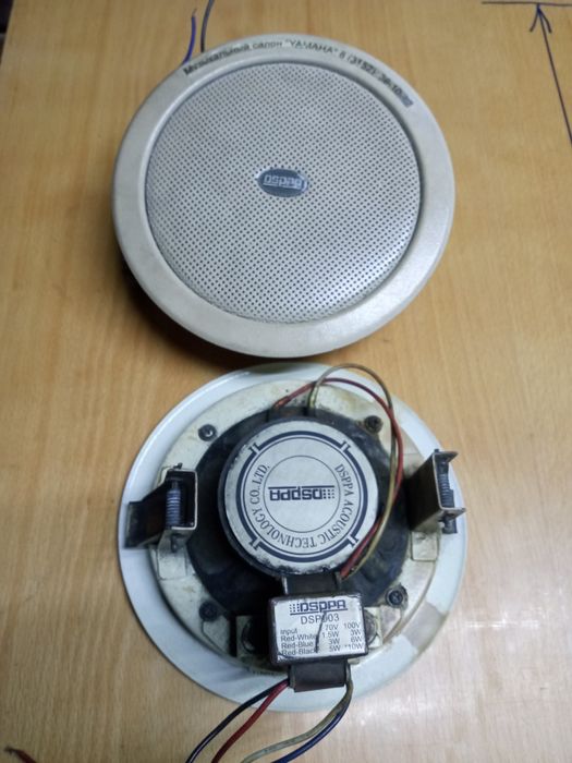 Динамики транцилиционные