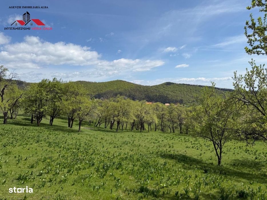 Teren intravilan 8330 mp de vanzare in Inuri Jud Alba