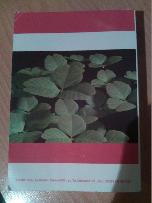 Книга Руско-български речник