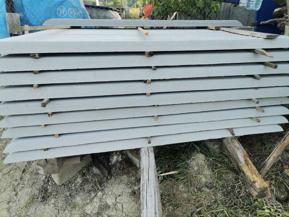 stalpi de gard sau vie