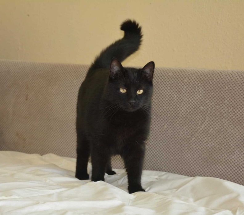 1-годишно момченце от Враца търси ДОМ