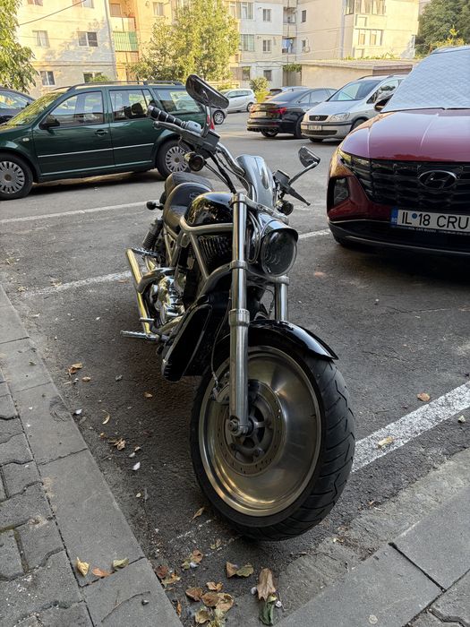 Harley Davidson V rod