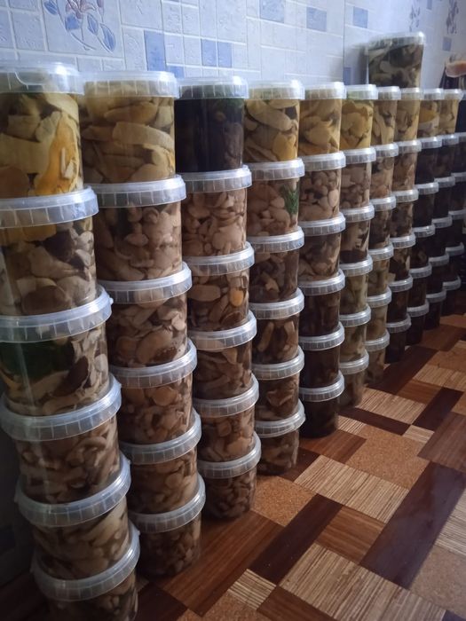 Продам грибы к-т Боровое