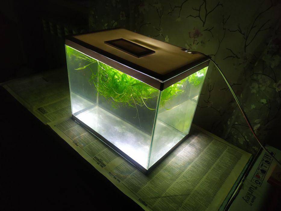 Аквариум 27л + бонусы и рыбки.