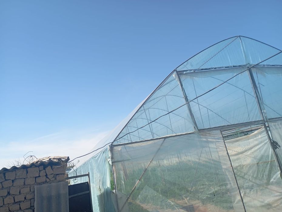 Теплицасатыладытььть