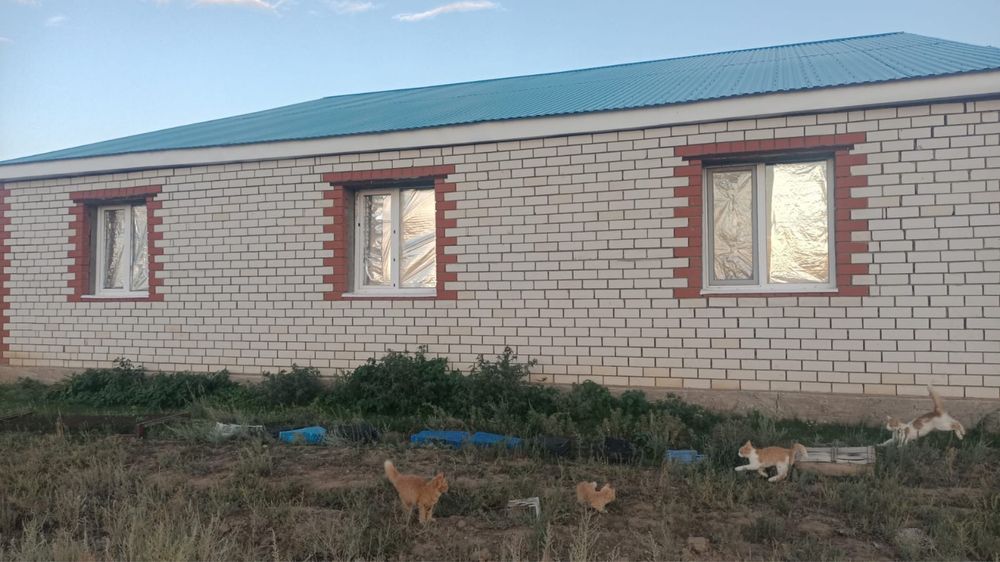 Продам действующее К/Х в ЗКО