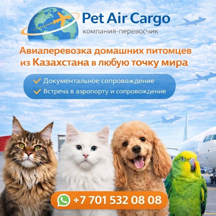 Авиаперевозка домашних питомцев