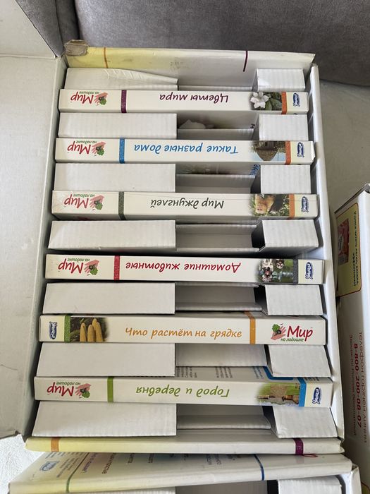 Мир на ладошке