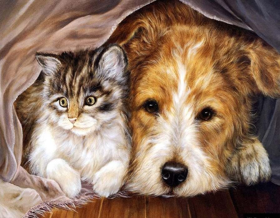 Стерилизация, кастрация