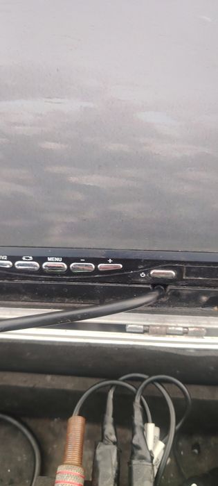 Семей живец сорожка