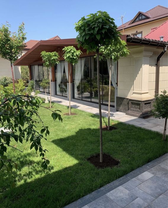 Автополив - газон