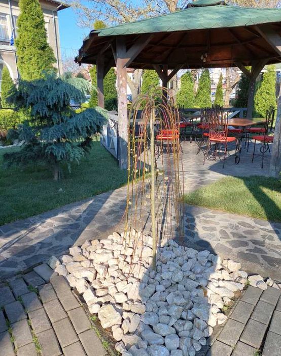 Gazon Rulou Dens și Viguros – Verificare Video și Montaj Rapid