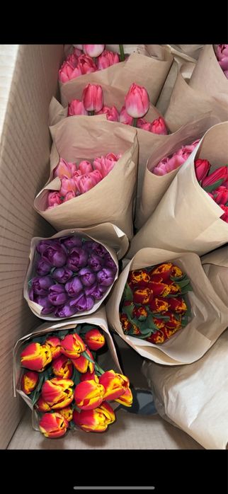 Премиум беллорусские тюльпаны !