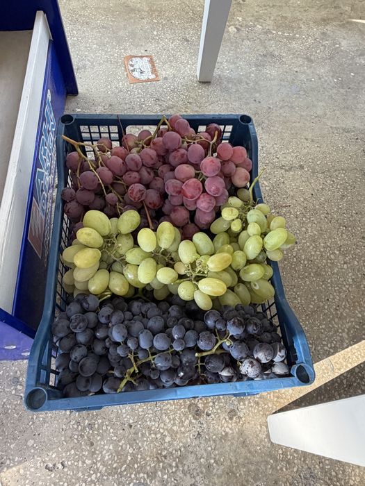 Vand must proaspăt