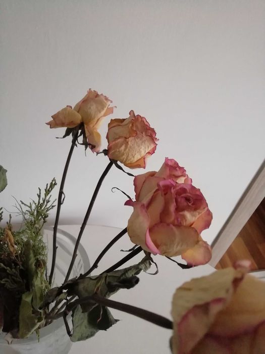 Сухоцветы розы  нитки полипропиленовые прочные фермуар колечки ремень